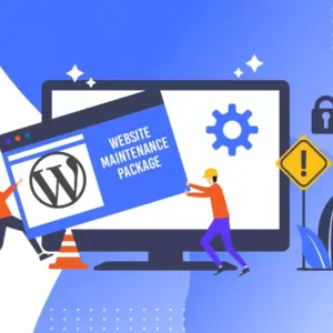 Website Maintenance Package